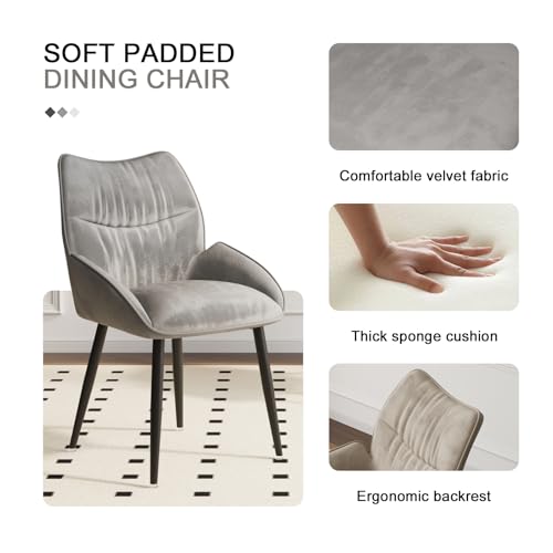 Kiztir Velvet Dining Chairs Set of 4 Modern Dining Chairs Upholstered Dining Room Chairs with Back and Metal Legs for Kitchen, Dining Room, Living Room (Grey)