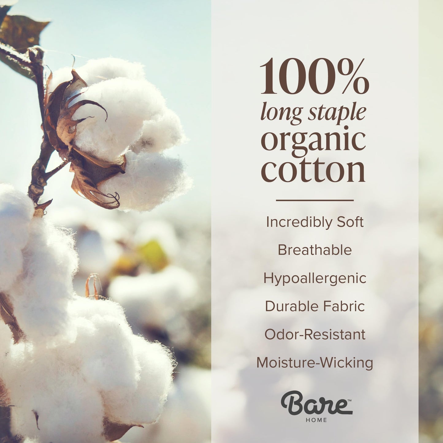Bare Home 100% Organic Cotton Queen Sheet Set - Crisp Percale Weave - Lightweight & Breathable - Bedding Sheets & Pillowcases (Queen, French Beige)