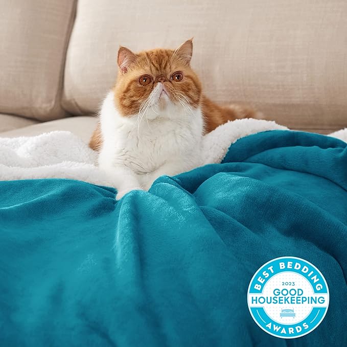 Bedsure Sherpa Fleece Throw Blanket Twin Size for Couch - Thick and Warm, Soft Fuzzy Plush Twin Blanket for Winter, Teal, 60x80 Inches