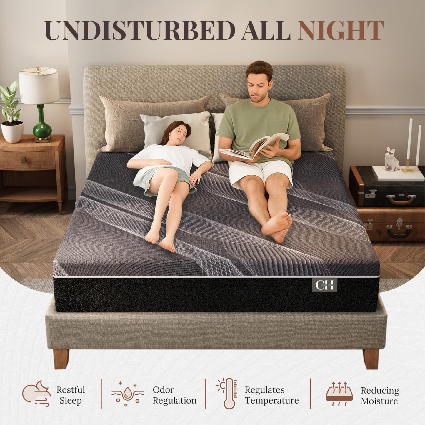 CH CHARME HOUSE 10 Inch Queen Mattress, Bamboo-Charcoal Memory Foam Mattress, Cooling & Pressure Relief, Bed in a Box, Foam Made in USA & CertiPUR-US Certified, 60'x80'x10', Black